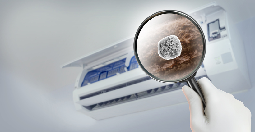 How Indoor Air Quality Impacts Comfort, Health, and Your HVAC System